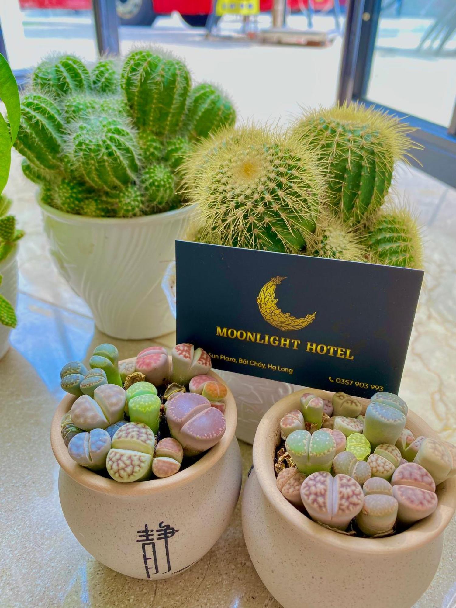 Moonlight Hotel Hạ Long Ngoại thất bức ảnh